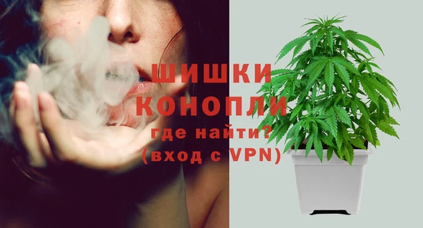 трава Аркадак