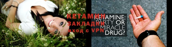 трава Аркадак