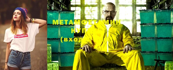 трава Аркадак