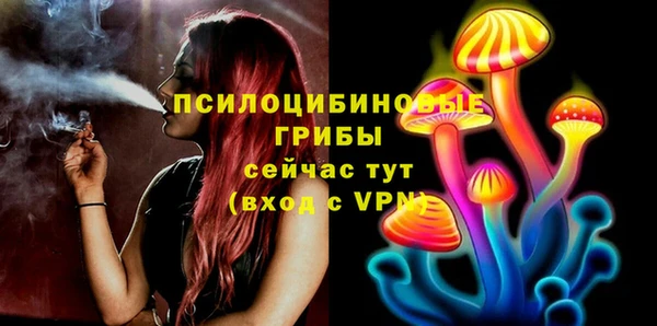 трава Аркадак