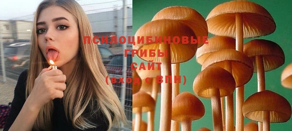 амф Янаул
