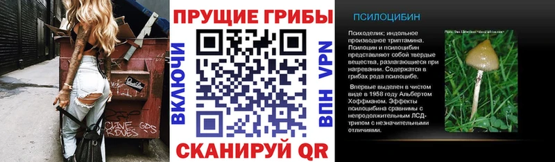 Псилоцибиновые грибы Cubensis  ссылка на мегу зеркало  Щёлково 